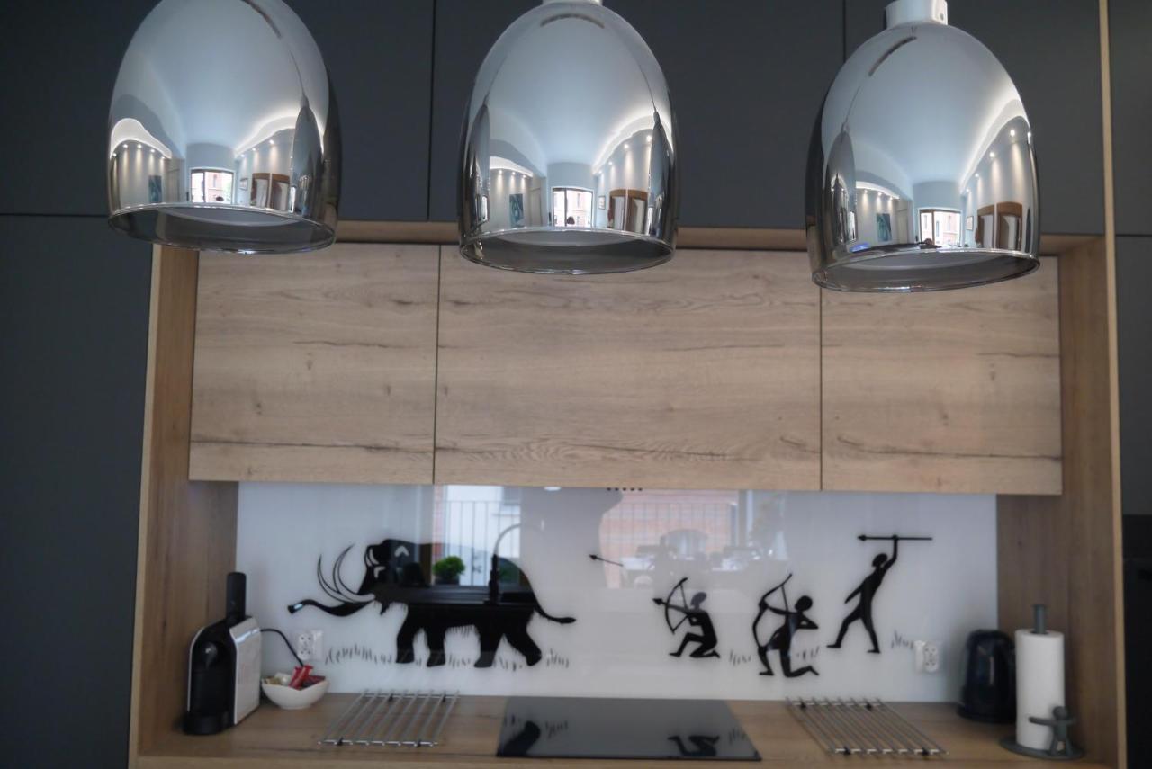 Nowy Apartament Zygmunta Premium غليفيتسه المظهر الخارجي الصورة