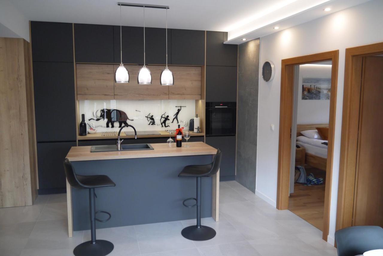 Nowy Apartament Zygmunta Premium غليفيتسه المظهر الخارجي الصورة