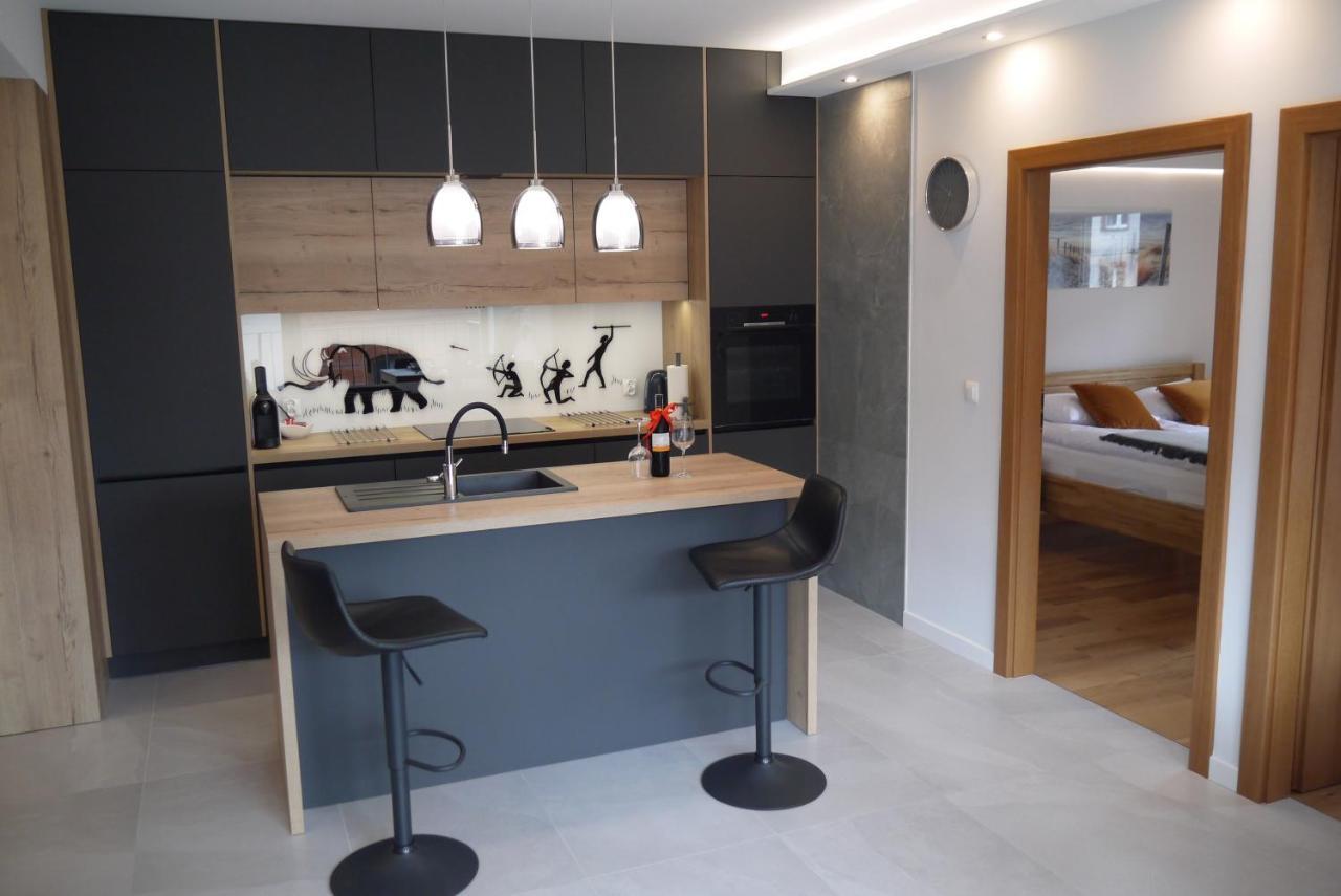 Nowy Apartament Zygmunta Premium غليفيتسه المظهر الخارجي الصورة