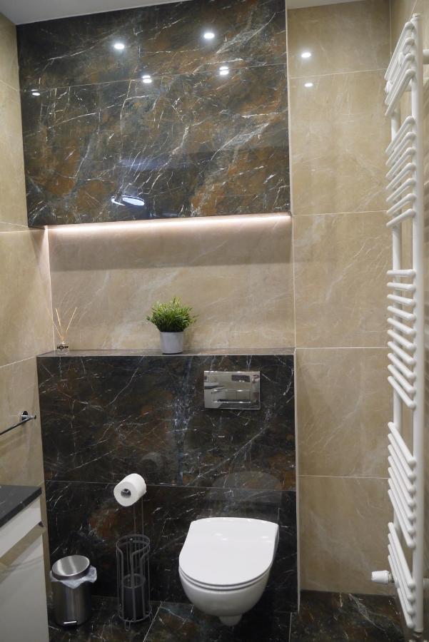 Nowy Apartament Zygmunta Premium غليفيتسه المظهر الخارجي الصورة