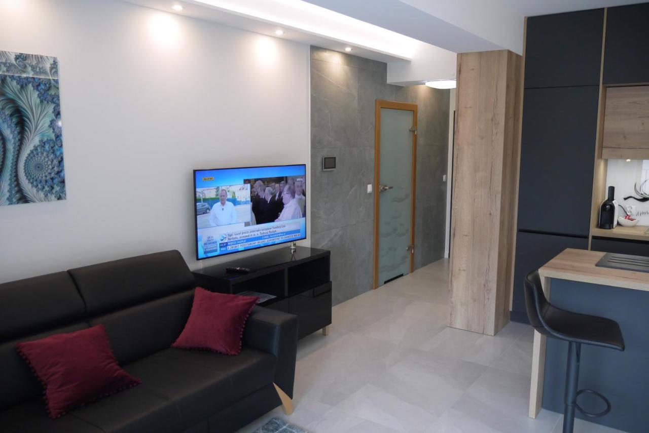 Nowy Apartament Zygmunta Premium غليفيتسه المظهر الخارجي الصورة